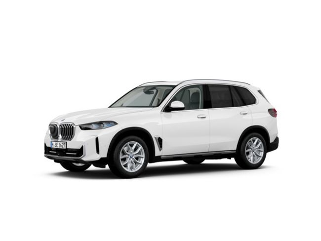 BMW X5 xdrive30d  xline 219 kw (298 cv)   - Foto 2