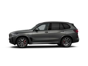 BMW X5 xdrive30d  xline 219 kw (298 cv)   - Foto 9