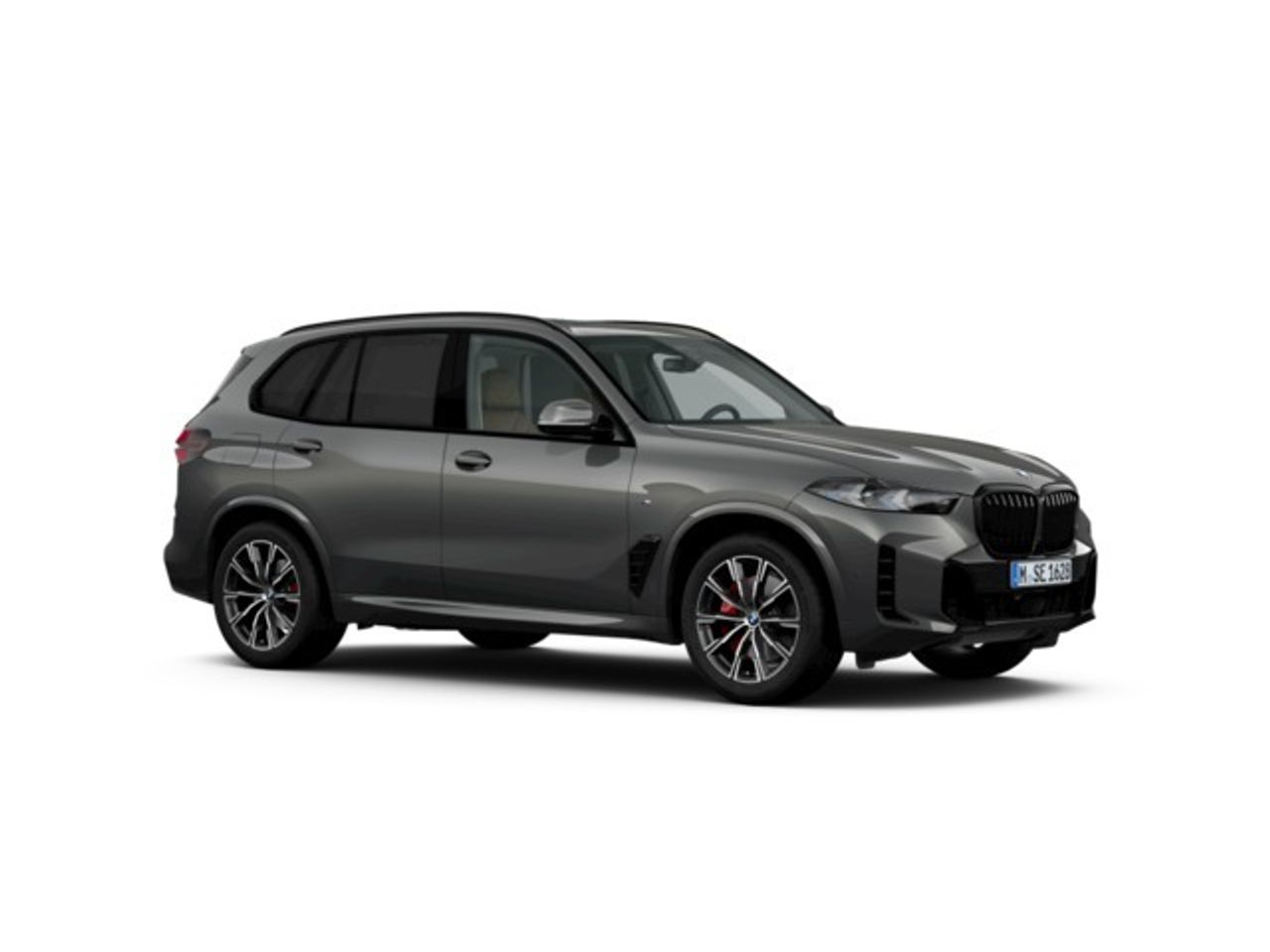 BMW X5 xdrive30d  xline 219 kw (298 cv)   - Foto 5