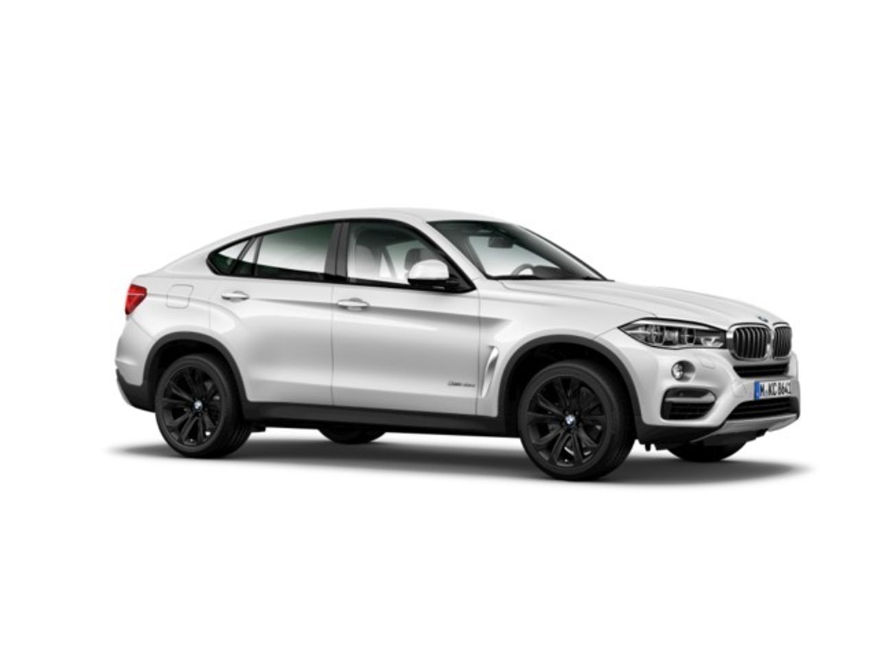 BMW X6 xdrive40d 230 kw (313 cv)   - Foto 5