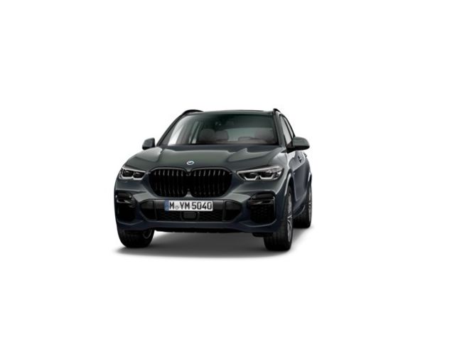 BMW X5 xdrive30d 210 kw (286 cv)
