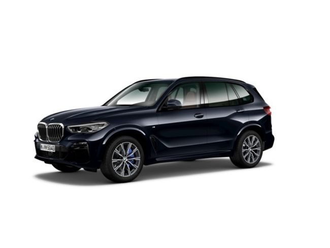 BMW X5 xdrive30d 195 kw (265 cv)