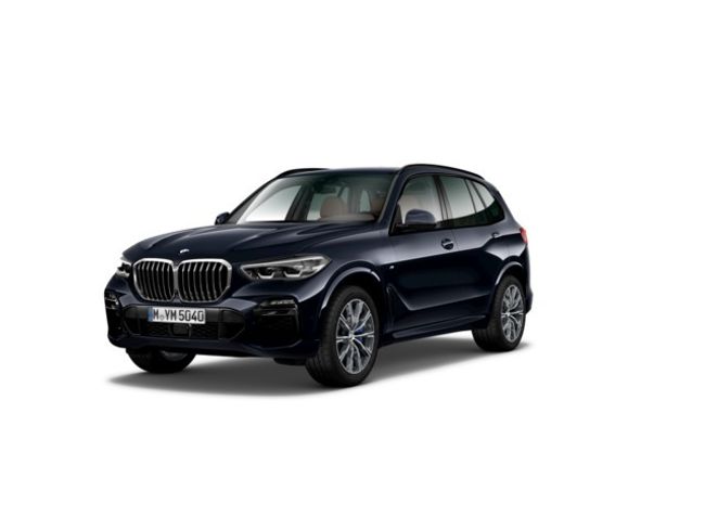 BMW X5 xdrive30d 195 kw (265 cv)