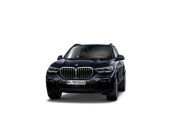 BMW X5 xdrive30d 195 kw (265 cv)