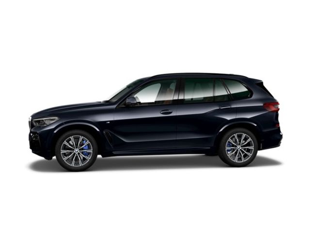 BMW X5 xdrive30d 195 kw (265 cv)