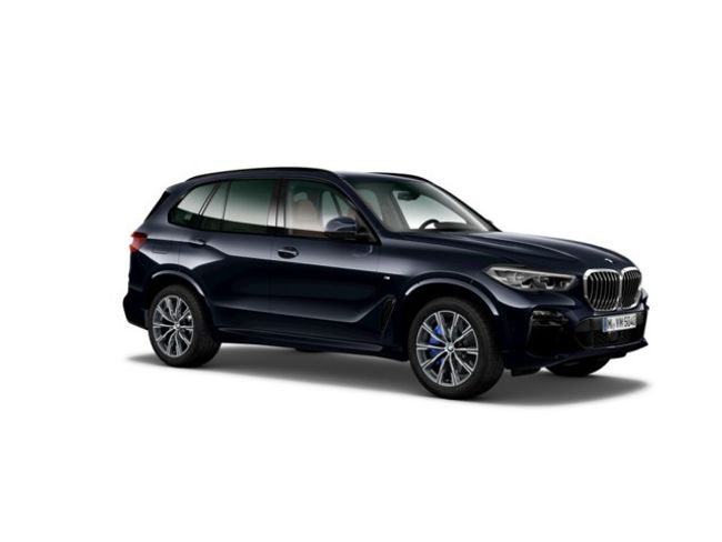 BMW X5 xdrive30d 195 kw (265 cv)