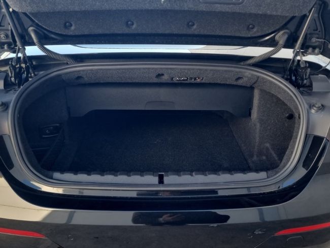 BMW Serie 4 420i cabrio 135 kw (184 cv)