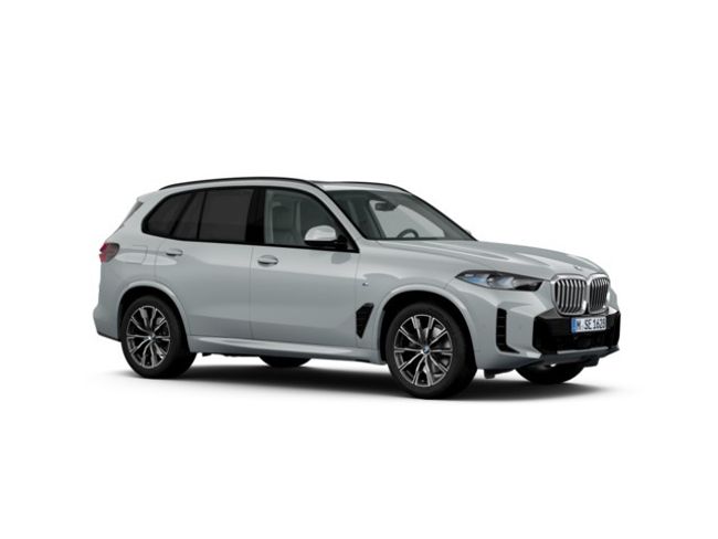 BMW X5 xdrive30d 219 kw (298 cv)