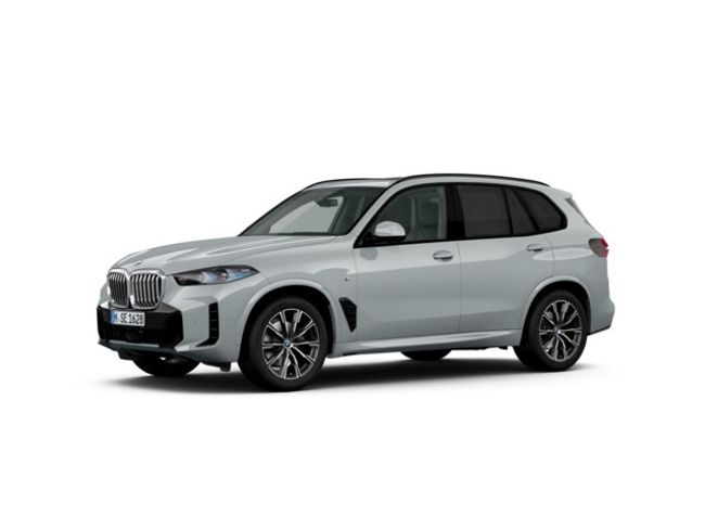 BMW X5 xdrive30d 219 kw (298 cv)
