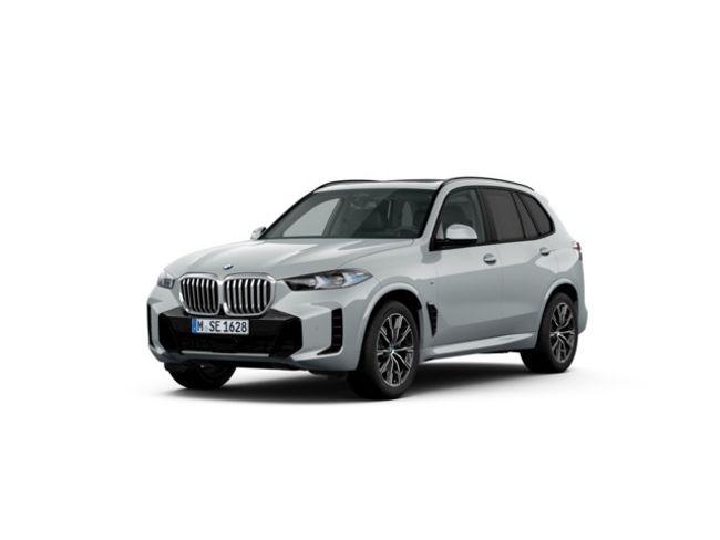 BMW X5 xdrive30d 219 kw (298 cv)