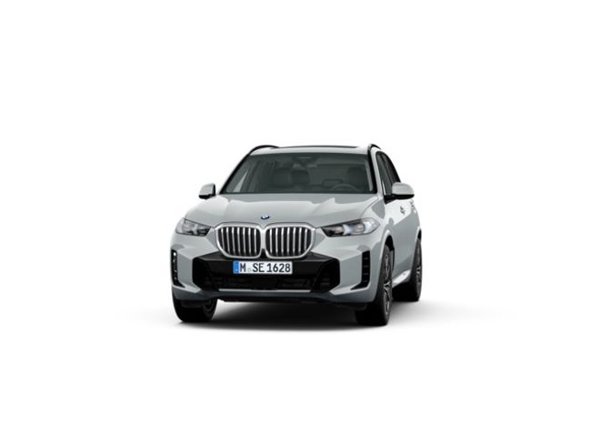 BMW X5 xdrive30d 219 kw (298 cv)