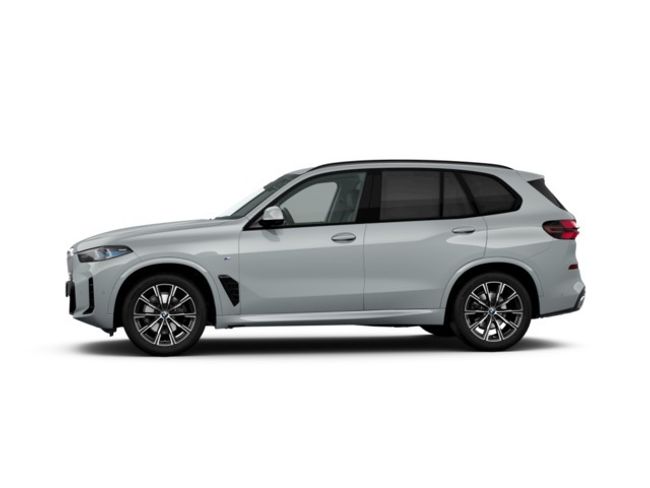 BMW X5 xdrive30d 219 kw (298 cv)