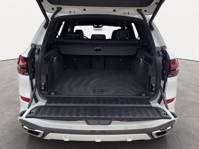 BMW X5 xdrive30d 219 kw (298 cv)