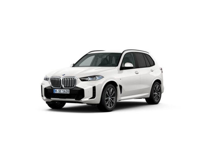 BMW X5 xdrive30d 219 kw (298 cv)