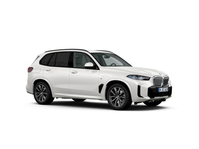 BMW X5 xdrive30d 219 kw (298 cv)