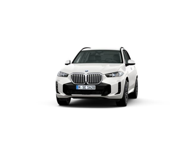 BMW X5 xdrive30d 219 kw (298 cv)