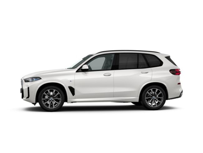 BMW X5 xdrive30d 219 kw (298 cv)