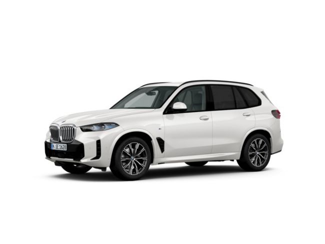 BMW X5 xdrive30d 219 kw (298 cv)