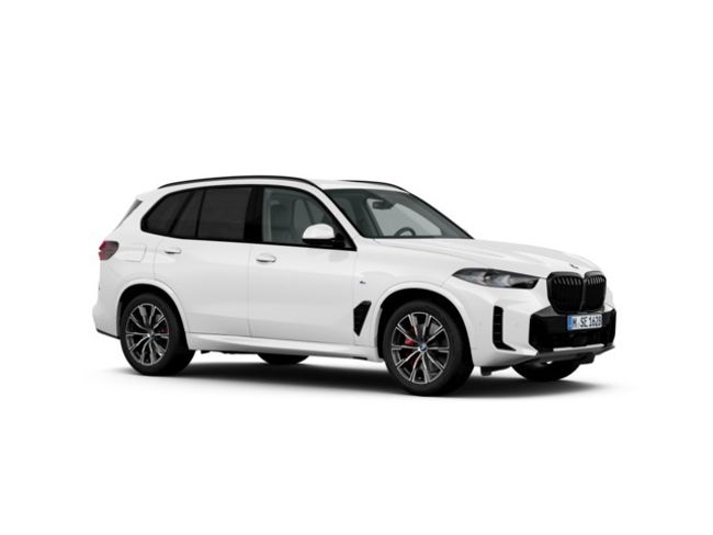 BMW X5 xdrive30d xline 219 kw (298 cv)