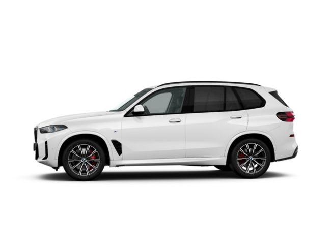 BMW X5 xdrive30d xline 219 kw (298 cv)