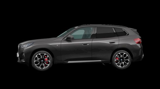 BMW X3 xdrive40d 223 kw (303 cv)