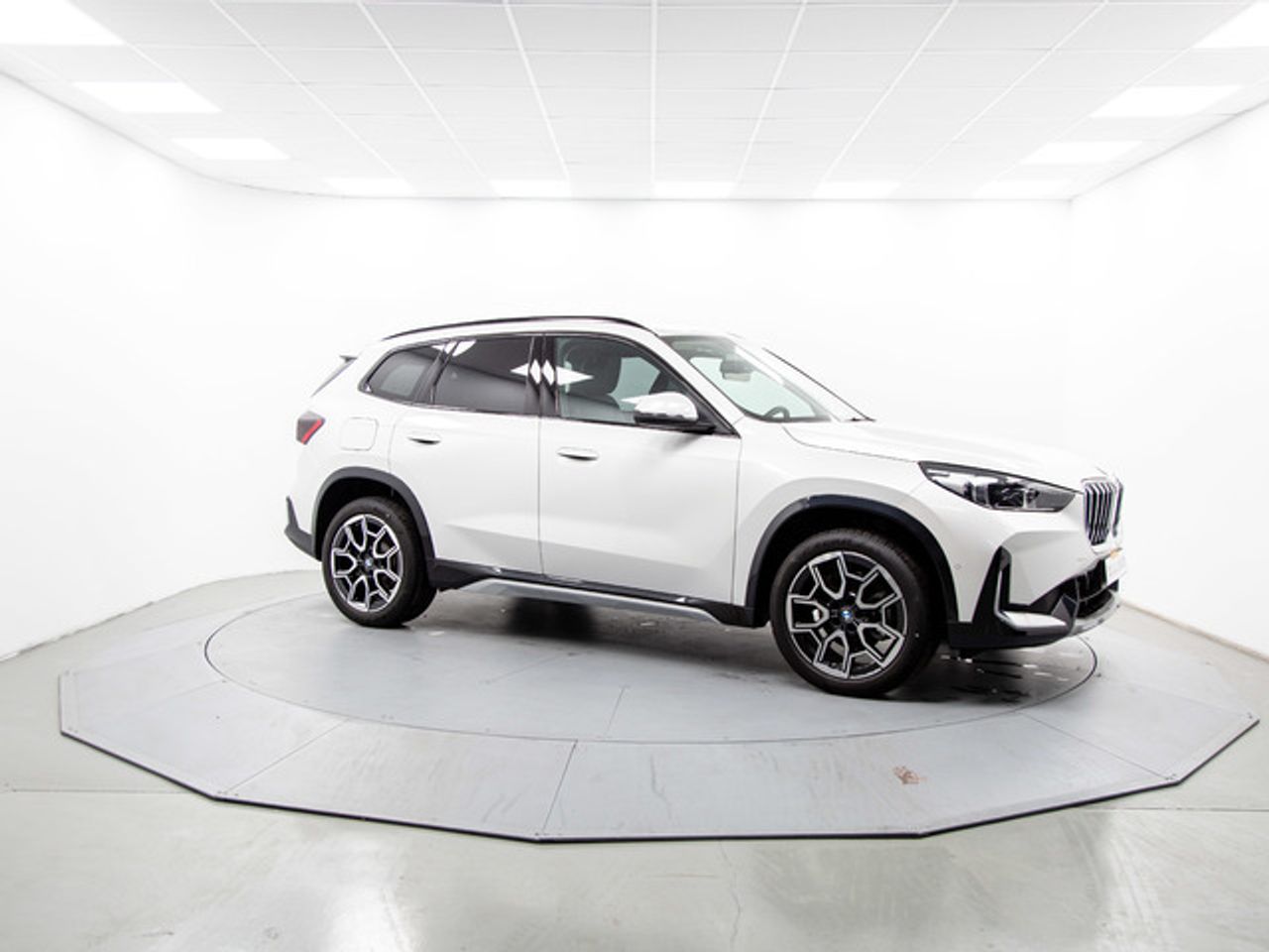 BMW X1 sdrive20d 120 kw (163 cv)   - Foto 14