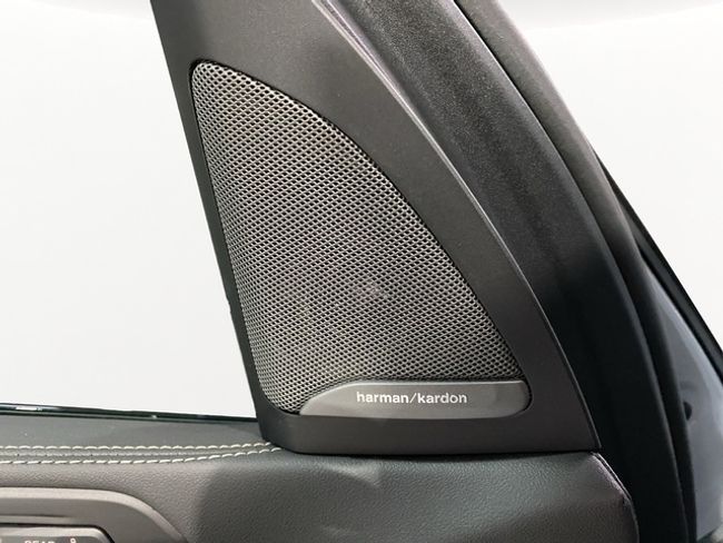 BMW X7 xdrive40d 259 kw (352 cv)