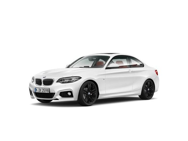 BMW Serie 2 218d coupe 110 kw (150 cv)