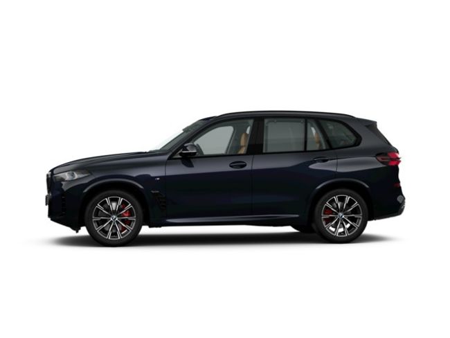 BMW X5 xdrive30d xline 219 kw (298 cv)