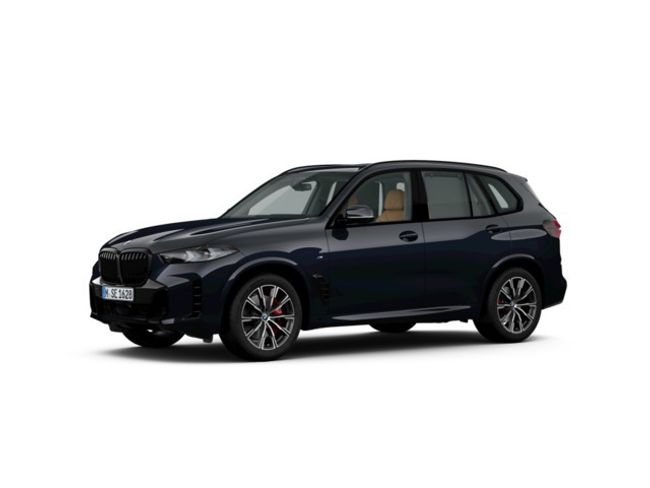 BMW X5 xdrive30d xline 219 kw (298 cv)