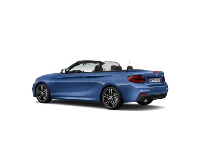 BMW Serie 2 218d cabrio 110 kw (150 cv)