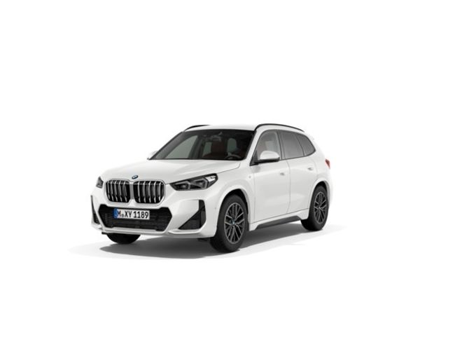 BMW X1 sdrive20d 120 kw (163 cv)