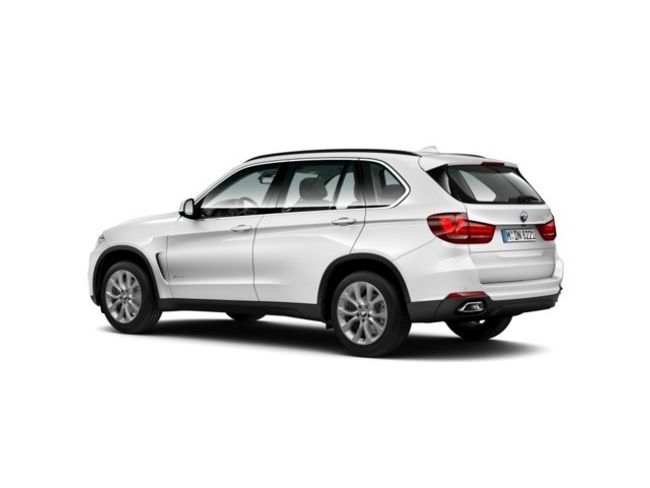 BMW X5 xdrive30d 190 kw (258 cv)