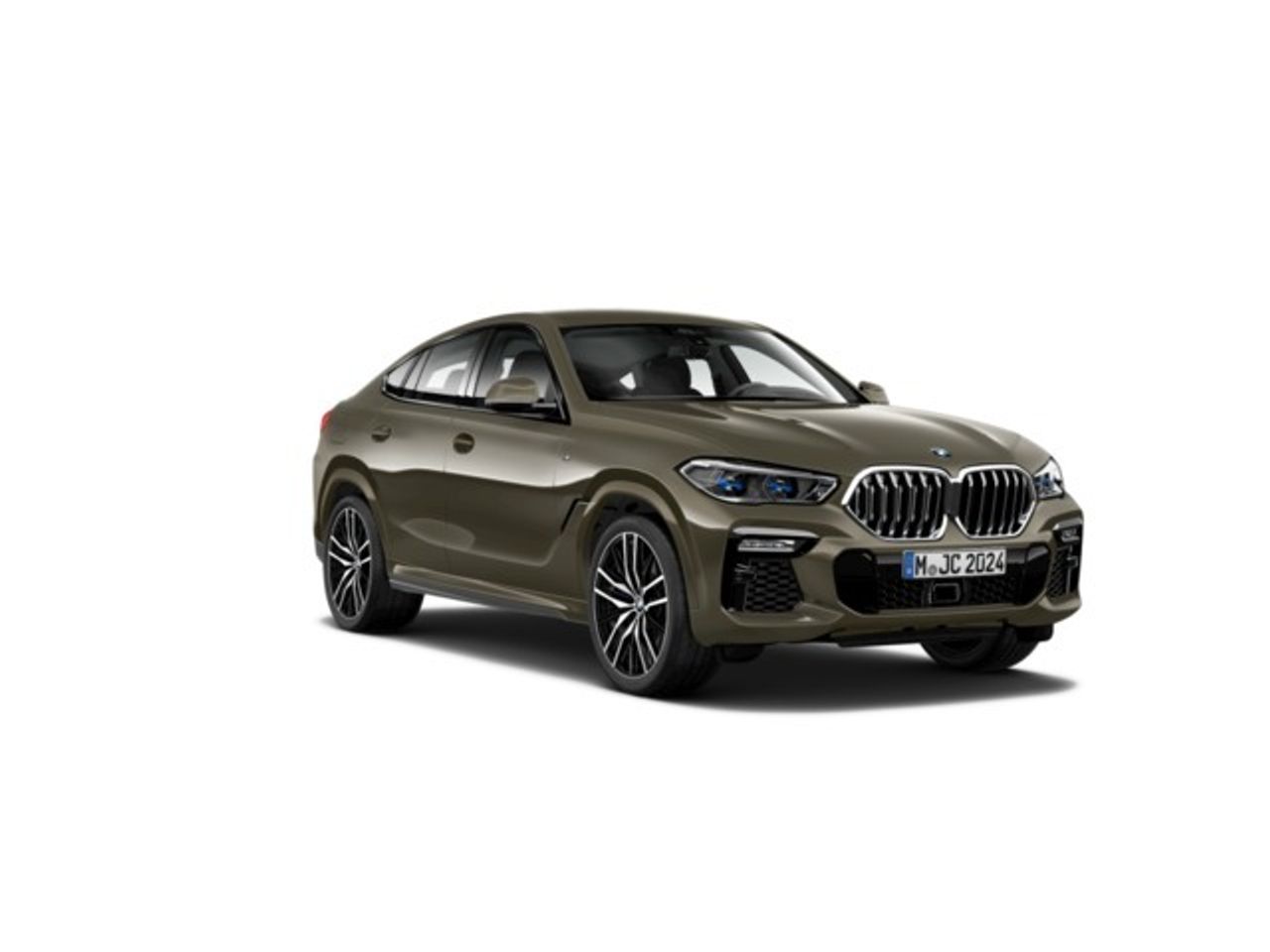 BMW X6 xdrive30d 195 kw (265 cv)   - Foto 10