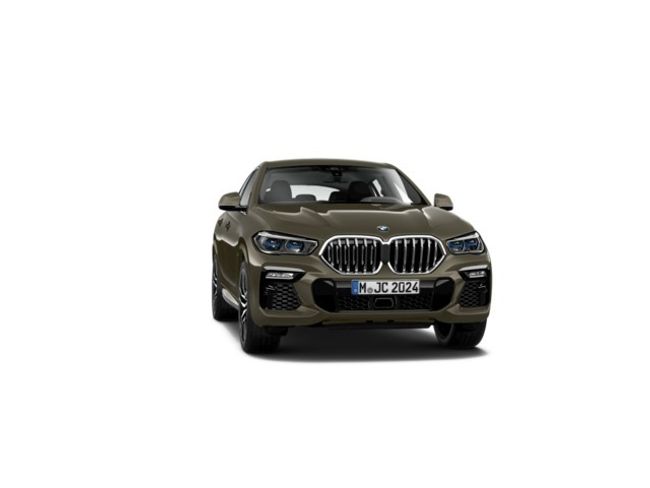 BMW X6 xdrive30d 195 kw (265 cv)