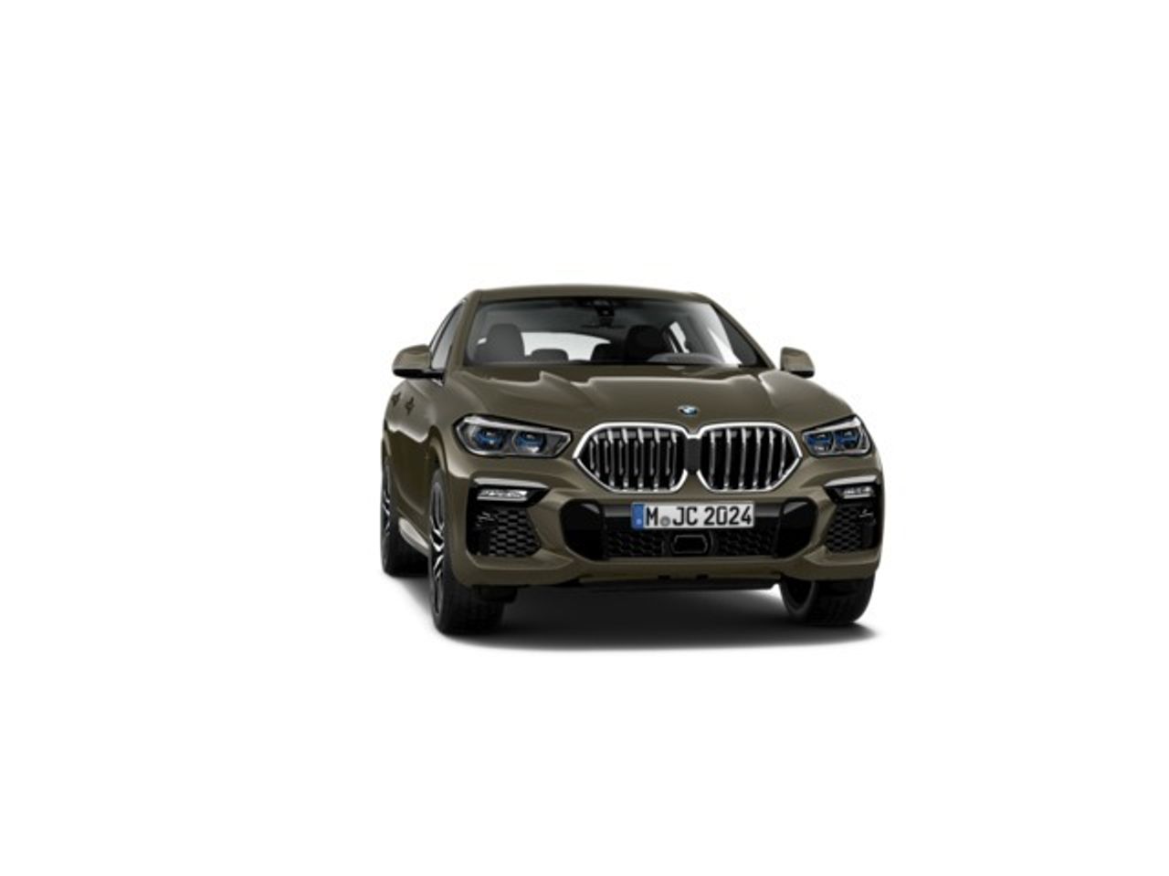 BMW X6 xdrive30d 195 kw (265 cv)   - Foto 7