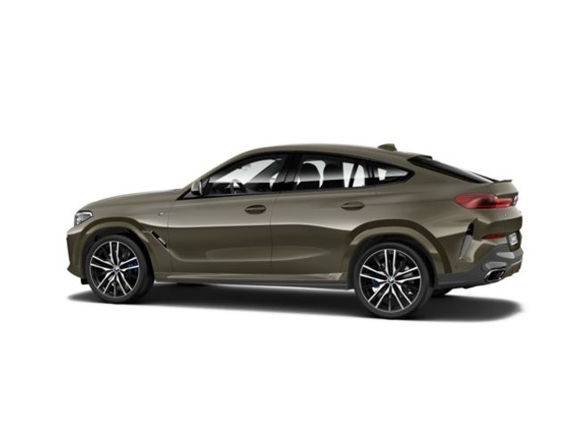 BMW X6 xdrive30d 195 kw (265 cv)