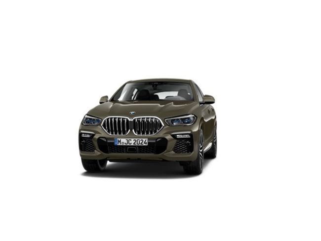 BMW X6 xdrive30d 195 kw (265 cv)
