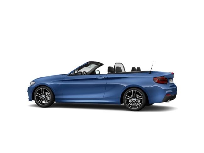 BMW Serie 2 218d cabrio 110 kw (150 cv)