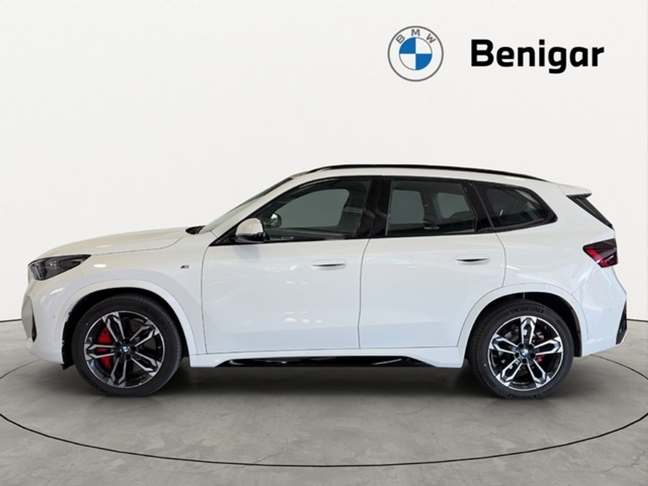 BMW X1 sdrive20d 120 kw (163 cv)   - Foto 4