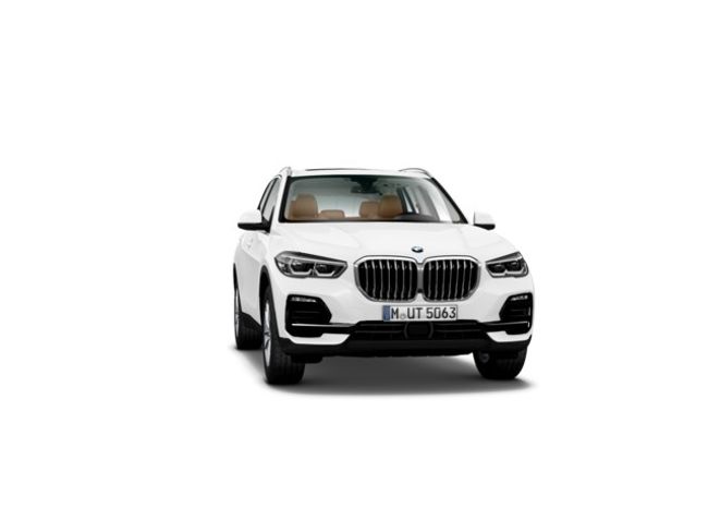 BMW X5 xdrive30d 195 kw (265 cv)