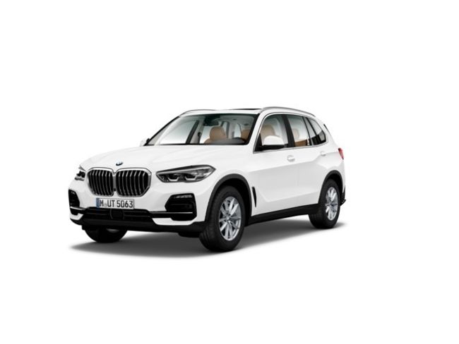 BMW X5 xdrive30d 195 kw (265 cv)