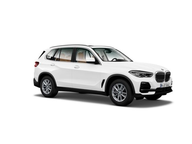 BMW X5 xdrive30d 195 kw (265 cv)