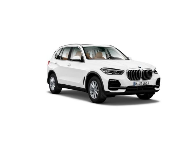 BMW X5 xdrive30d 195 kw (265 cv)
