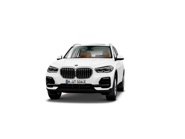 BMW X5 xdrive30d 195 kw (265 cv)