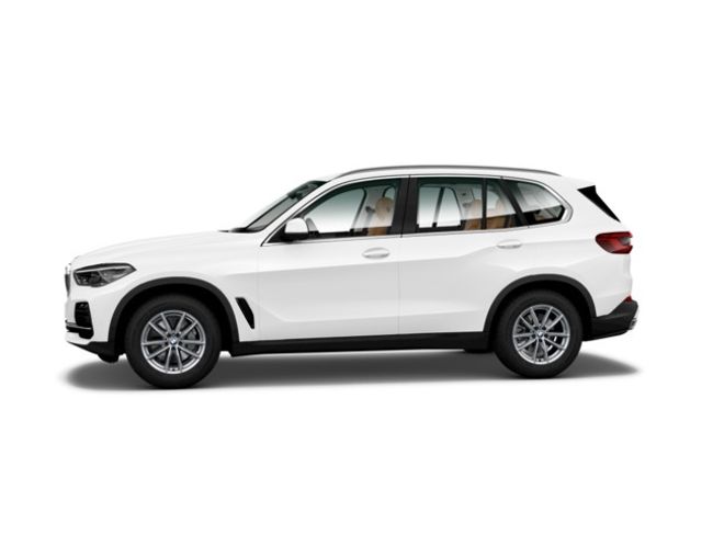 BMW X5 xdrive30d 195 kw (265 cv)