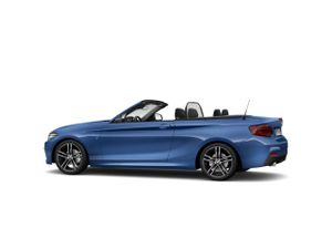 BMW Serie 2 218d cabrio 110 kw (150 cv)  2020 Diésel - Foto 19