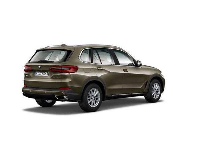 BMW X5 xdrive25d 170 kw (231 cv)
