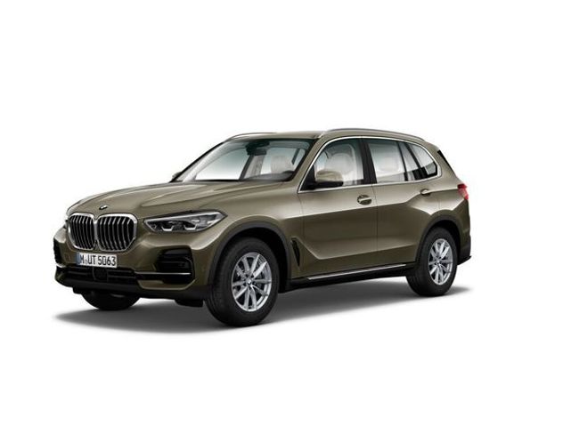 BMW X5 xdrive25d 170 kw (231 cv)