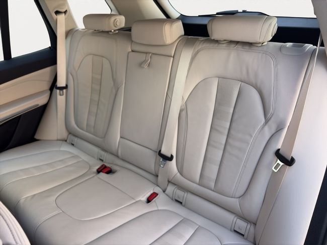 BMW X5 xdrive25d 170 kw (231 cv)